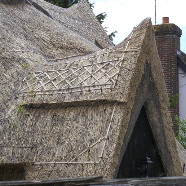 Thatched Period Property