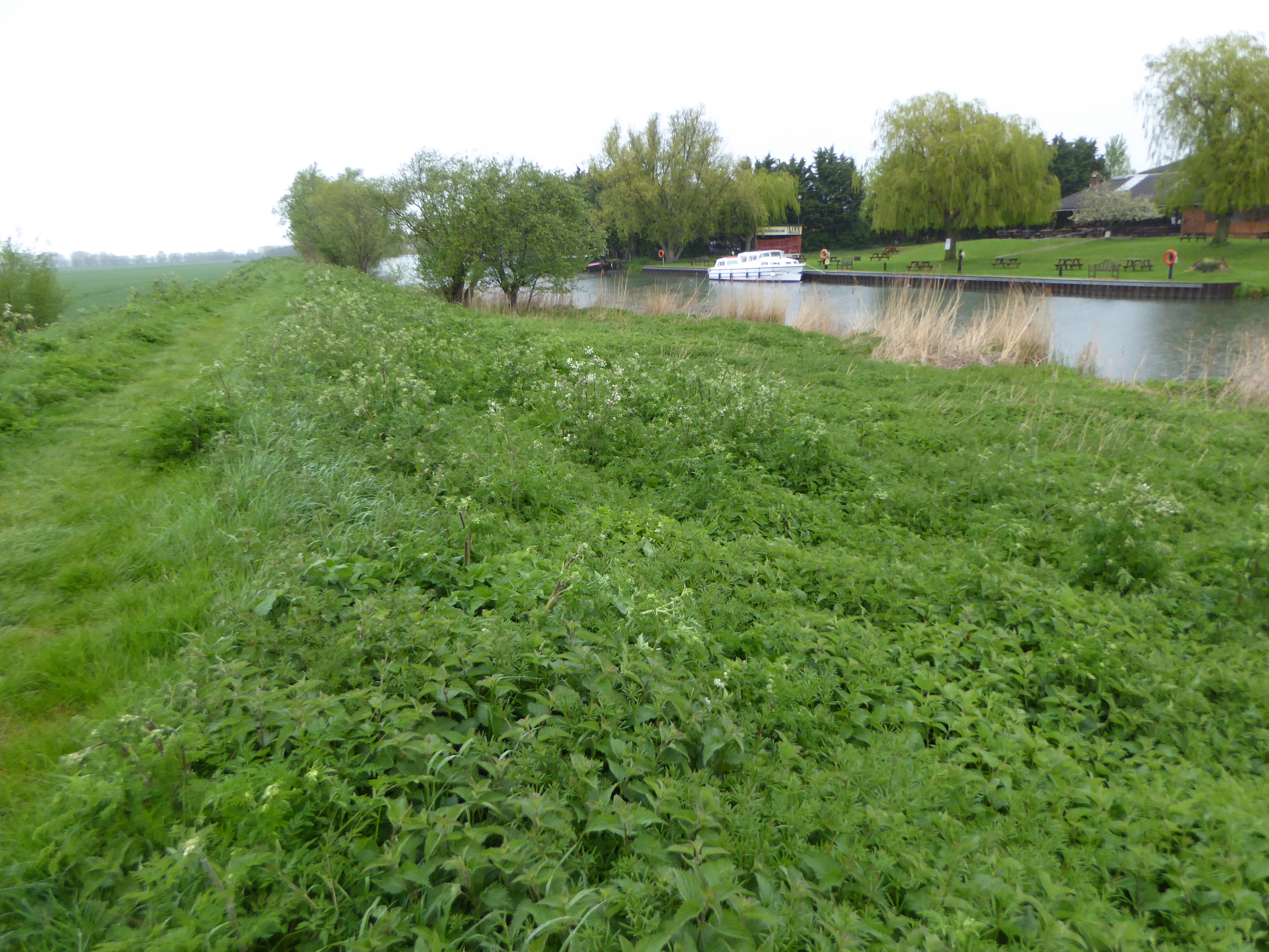 FREEHOLD FOR SALE RIVERBANK LAND UPWARE, NORTH CAMBS. £50,000