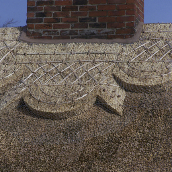 Building Survey on a Thatched Roof