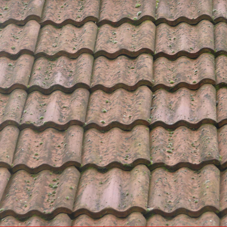 RIC Level 2 Homebuyer Survey - Tiled Roof
