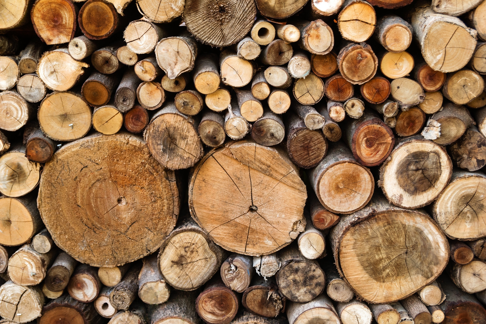 Choosing the right logs for your woodburning stove