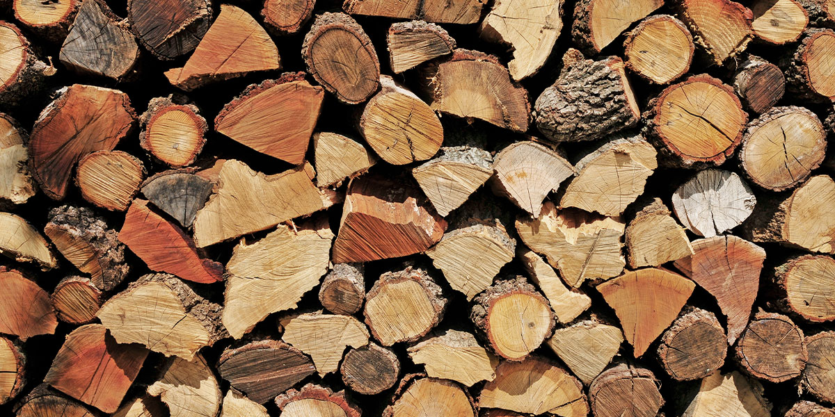 Wood Burning Logs