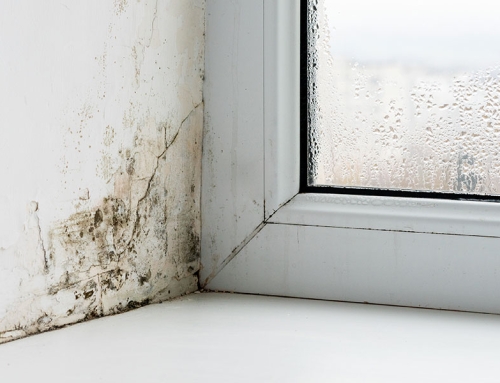 Are you finding condensation a problem?