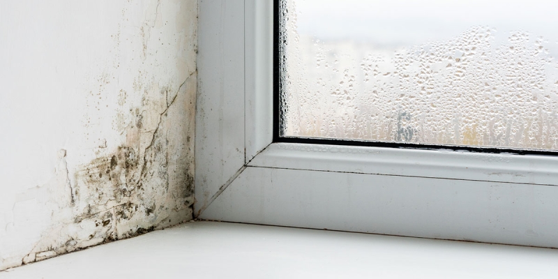 Are you finding condensation a problem?